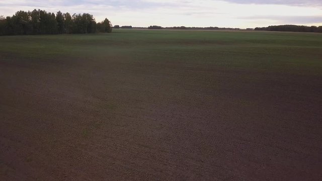 aerial plowed field. shooting to the drone over the field of arable land. Empty harvested field in autumn.