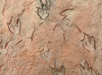 Dinosaur footprints on the rocks.