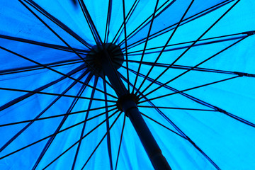 under blue umbrella.