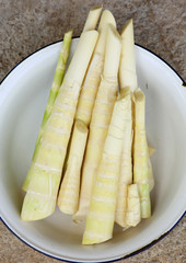 Yellow bamboo shoot food asia in white bowl.