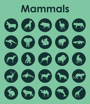 Set Of Mammals Simple Icons