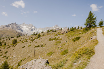 Zermatt, Wallis, Alpen, Schweizer Berge, Walliser Alpen, Wanderweg, Sunnegga, Findeln, Sommerwanderung, Sommer, Schweiz