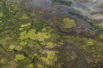 Wet lands near Adelaide River