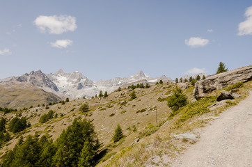 Zermatt, Dorf, Sunnegga, Findeln, Weiler, Wanderweg, Wallis, Alpen, Walliser Berge, Sommer, Schweiz