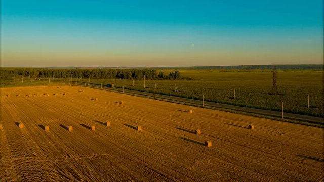 Полет над полем после покоса
