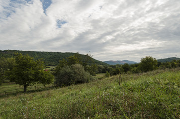 green hungarian landscape in september