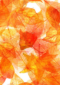 Autumn background with watercolor leaves