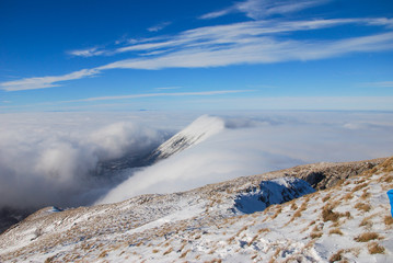 Mountain peak above the clouds. Sunny winter day on mountain above the clouds. Dry mountain in Serbia in winter with highest peak Trem