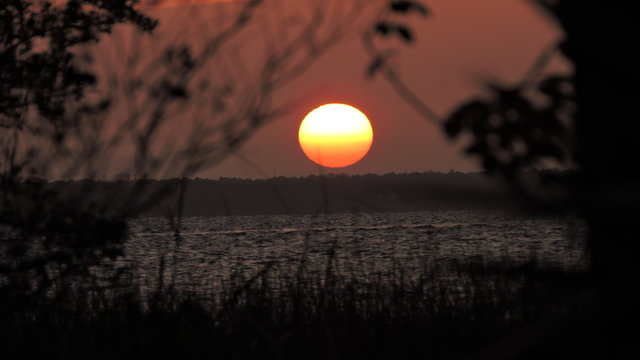 Fototapeta sunset beyond trees