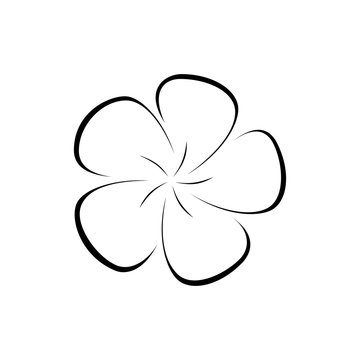 Hand drawn icon of plumeria flower