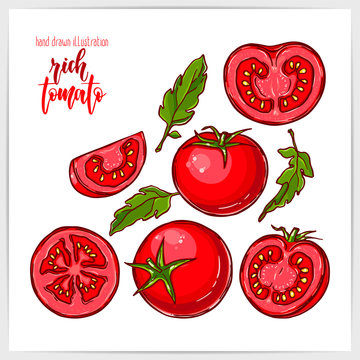 Colorful set of ripe and tasty tomato, whole and sliced, with leaves. Hand drawn illustration with hand lettering headline.