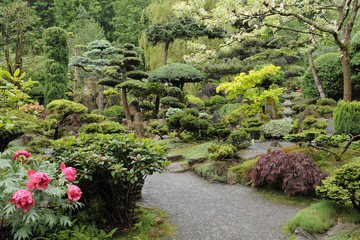 Japanese garden in summer