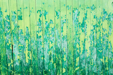 Château d'Oleron sur l'ile d'Oleron Charente Maritime