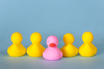 Racism, homophobia, discrimination and social exclusion concept with a pink rubber duck standing out from the common yellow ones