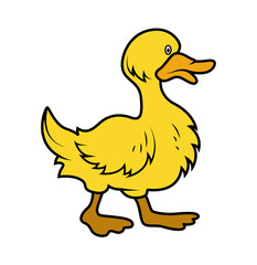 Cartoon Duck