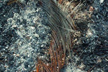 Metal carcass of the burnt automobile rubber tire