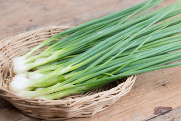 Pile of fresh spring onion on wood table