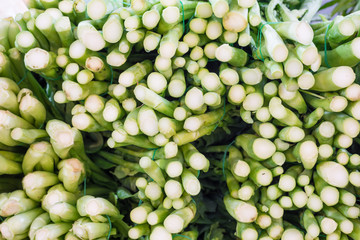 Fresh chinese kale in  market