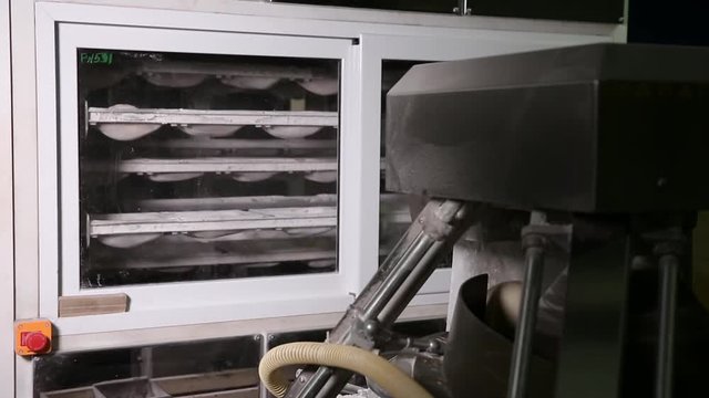 Raw bread moves along the conveyor belt in the bakery. Bakery industry. Loaf of bread on the production line in the baking industry. Automated production of bread. Video includes sound.