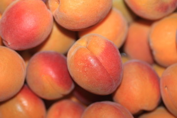 reife marillen nahaufnahme