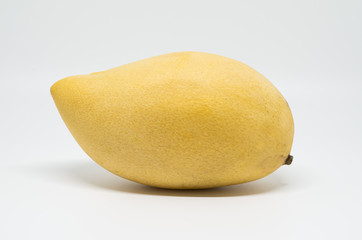 Yellow mango on white background