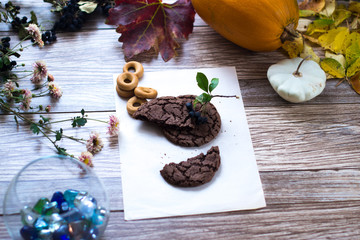 Homemade cakes, cake on a wooden background.