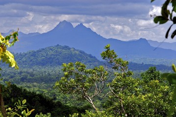 Cockscomb Basin Wildlife Preserve (Belize)