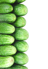 bunch of cucumbers