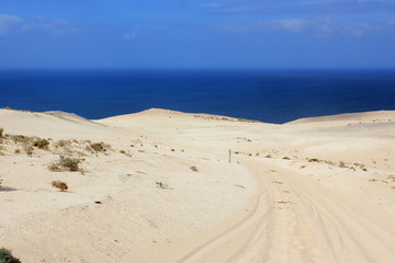 Spuren im Sand - Fuerteventura