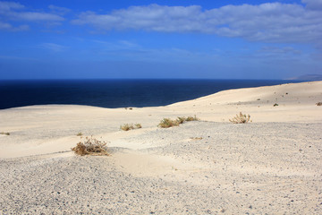 Sanddünen und Muscheln