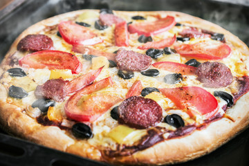 pizza with salami, mushrooms and cheese homemade . shallow depth of field. soft focus