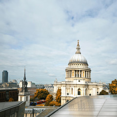 Fototapeta na wymiar London cityscape with St Paul's Cathedral in Autumn