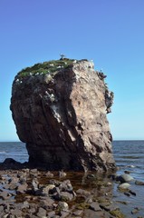 Travels in Russia: Kola Peninsula, White Sea, Tersky coast. Local point of interest is cliffs of gulls next to developed amethyst field of Cape Ship. Nesting place for seagulls. Low tide. Vertical fra
