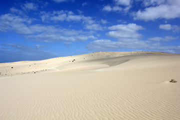 Sanddüne - Fuerteventura