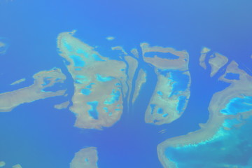 サンゴ礁　リーフ © Takeru