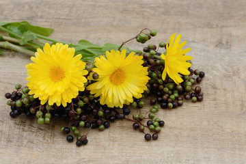 Flowers and elderberry lying on wood