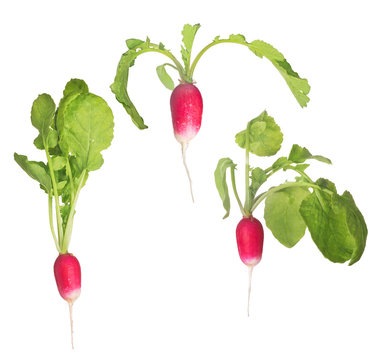 three red radishes with green leaves on white