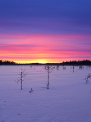 Beautiful vibrant sunset in Finnish snow covered wilderness. Natural background.