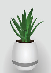 Green flower and white pot. vector illustration