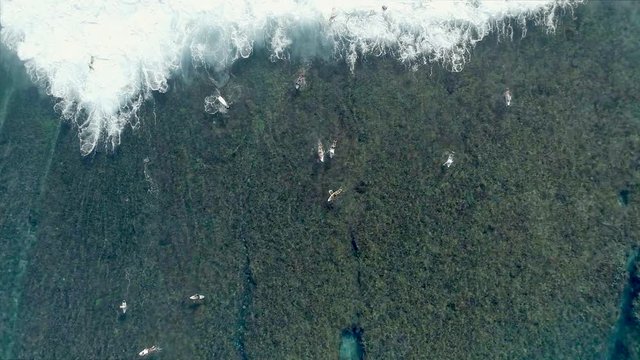 Time Lapse of Surfers from Bird's Eye View in Clear Water Waiting for Waves to Surf