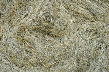 background: close-up of a detail of a hay - Straw bale, now almost dried, wrapped circularly in a network that holds together the hay bale, summer, italy