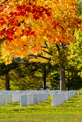 Colorful changing leaves and tombs at Arlington National Cemetery near to Washington DC, in Autumn