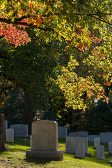Colorful changing leaves above  tombs at Arlington National Cemetery near to Washington DC, in Autumn