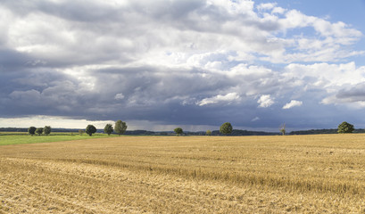 rural landscape with clouds