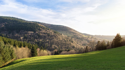 Fototapeta na wymiar Vallée Vosgienne