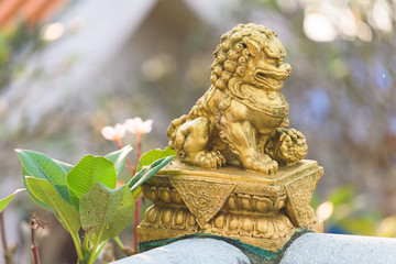 Golden Chinese Lion Statue
