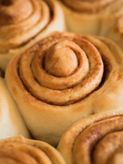 Close up of cinnamon rolls without frosting fresh from the oven