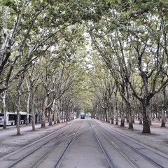 Tramway in Bordeaux centre