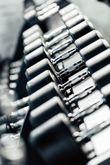 row of dumbbells in gym