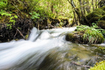 Green Lake, Styria, Austria